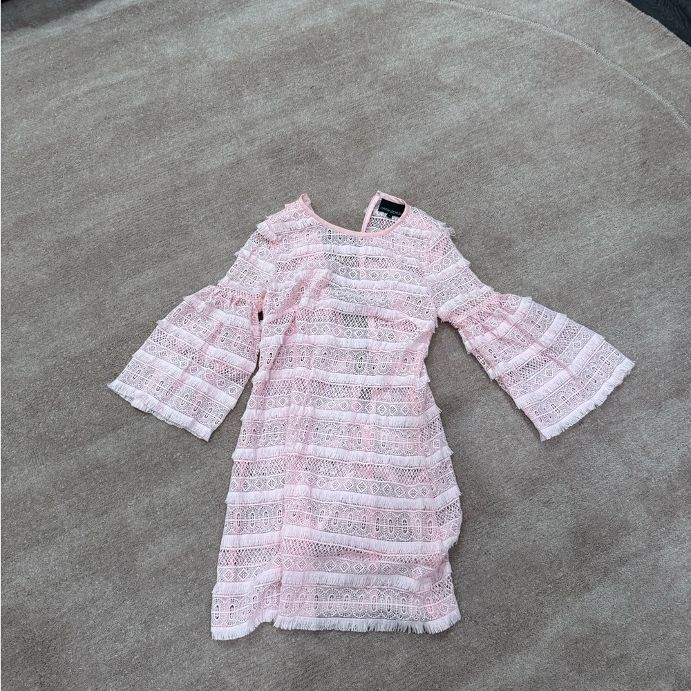 Cynthia Rowley Blush Lace Dress